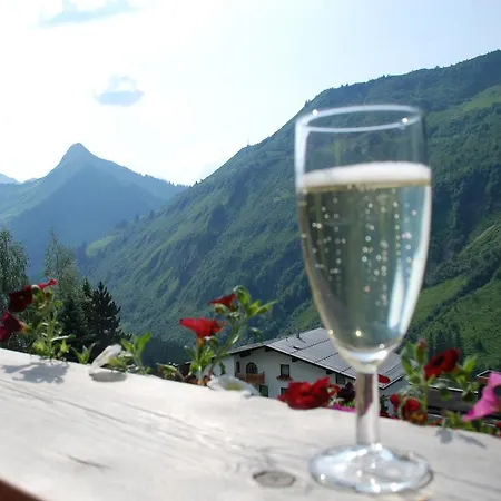 Haus Montana Appartement